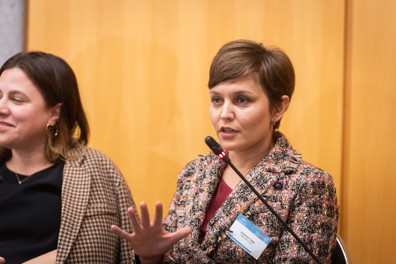 Tech & Arbitration: Digital Disruption in South Eastern Europe
