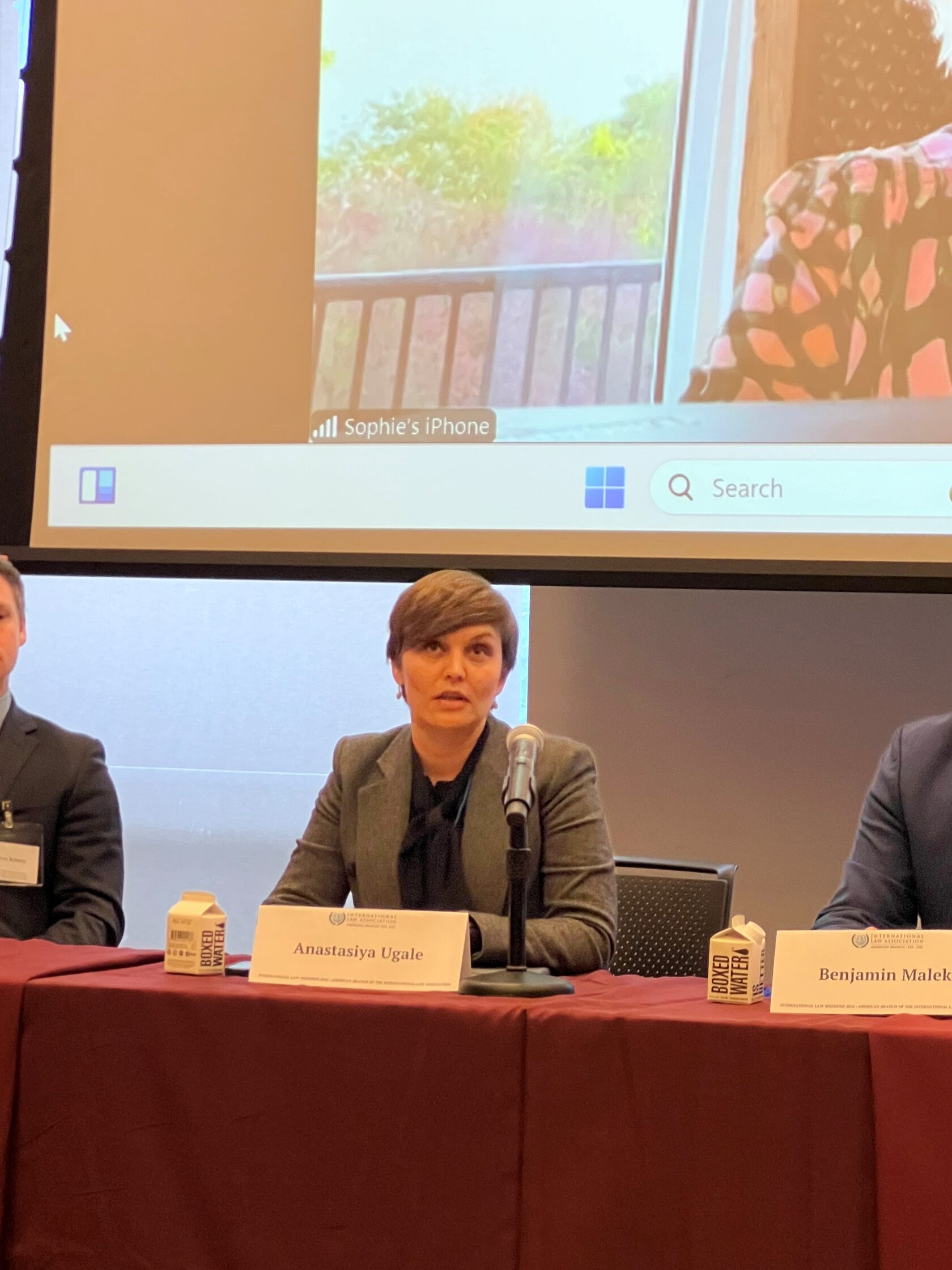 David v. Goliath: Harnessing the Power of Artificial Intelligence in International Arbitration